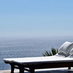 Kabak Avalon Orman Evi